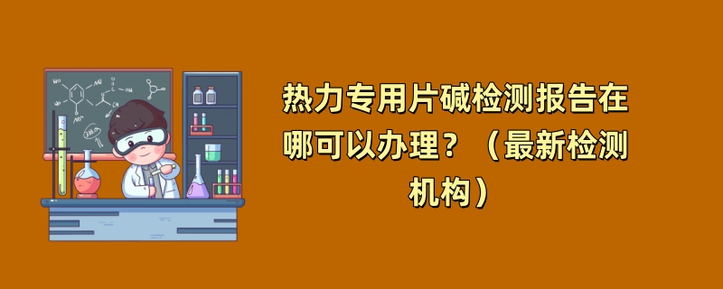 热力专用片碱检测报告在哪可以办理？（最新检测机构）