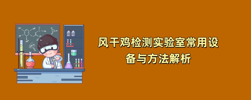 风干鸡检测实验室常用设备与方法解析