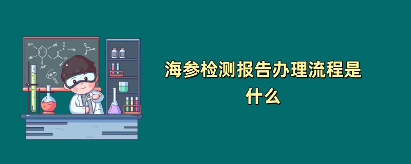 海参检测报告办理流程是什么