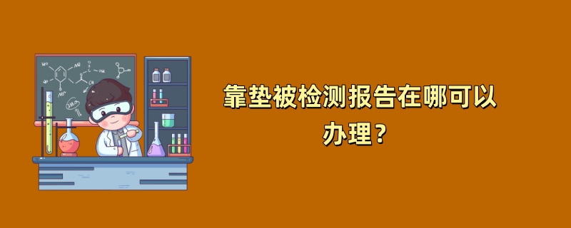 靠垫被检测报告在哪可以办理？（第三方检测机构介绍）