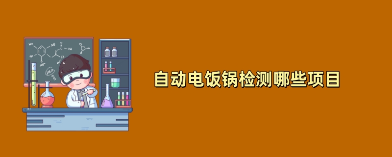 自动电饭锅检测哪些项目