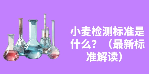 小麦检测标准是什么？（最新标准解读）