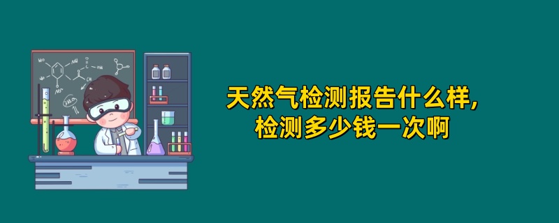 天然气检测报告什么样,检测多少钱一次啊